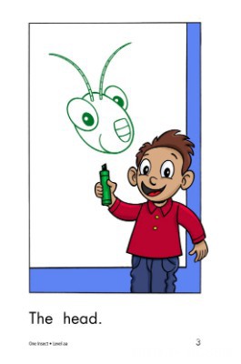 One Insect