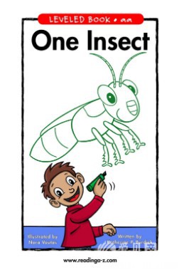 One Insect
