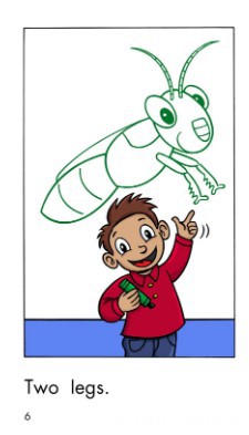 One Insect